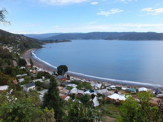 Gastronómicos de la costa valdiviana cumplen todas las normativas sanitarias: invitan a asistir con total confianza