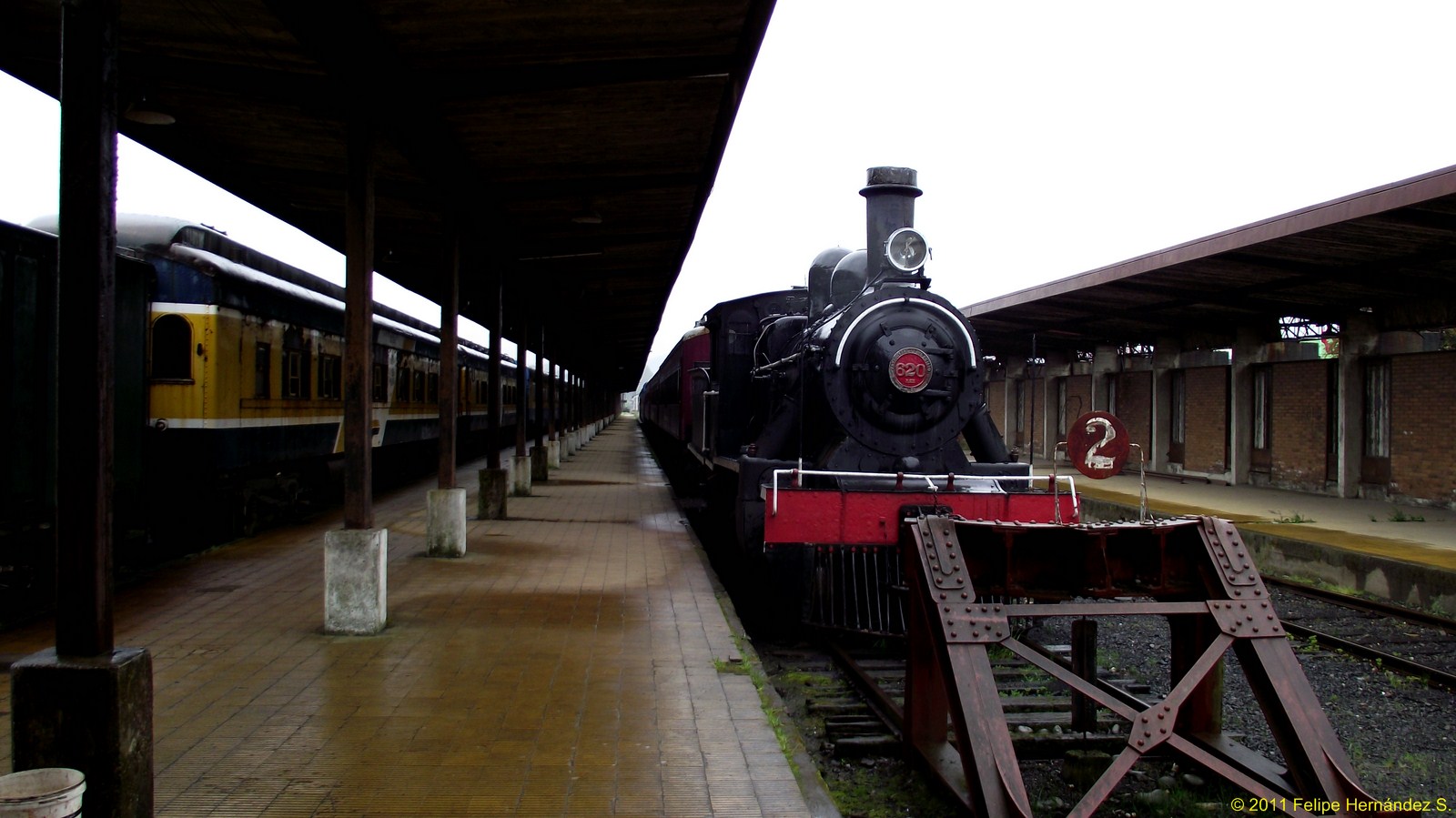 Anuncian viajes del Tren Turístico “El Valdiviano” para estas Fiestas Patrias: ya están a la venta los pasajes