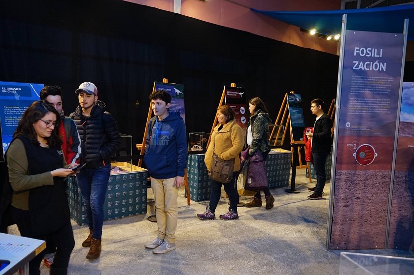 Vacaciones de invierno: todavía hay tiempo para visitar la exposición “Fósiles, un mar petrificado en el desierto” en Valdivia
