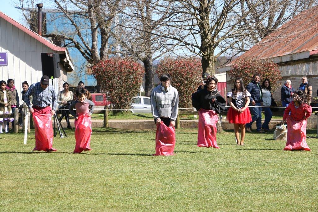 35 presentaciones darán vida a la Fiesta de las Tradiciones y Fonda Familiar en Valdivia: conoce aquí toda la programación