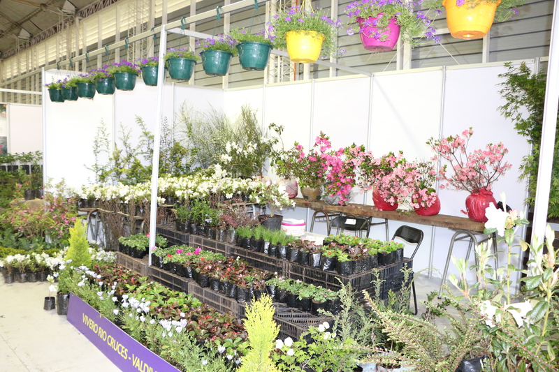 Este fin de semana la Expo Primavera regresa al Parque Saval de Valdivia