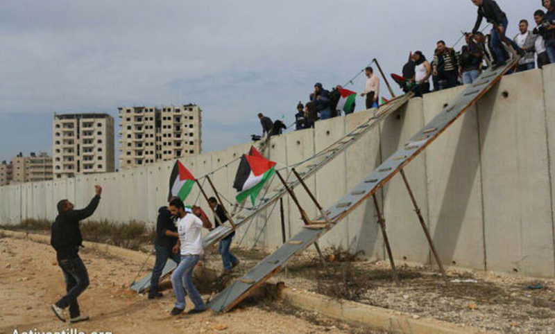 Organización que promueve justicia para el Pueblo Palestino invita al “Concierto en Contra del Apartheid” en Valdivia