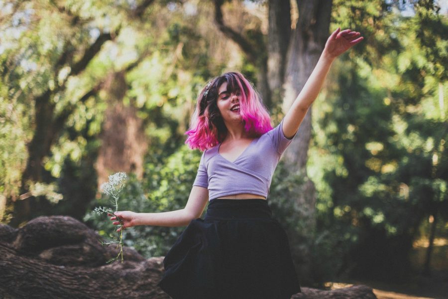 Panorama: Del 7 al 10 de febrero 4º Festival Vámonos Pa’l Campo