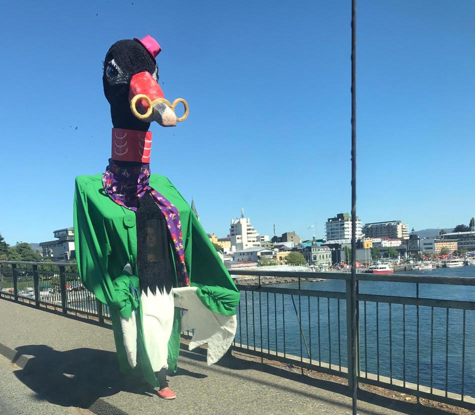 Cisne gigante recorrerá Valdivia para concientizar sobre cuidado de los humedales