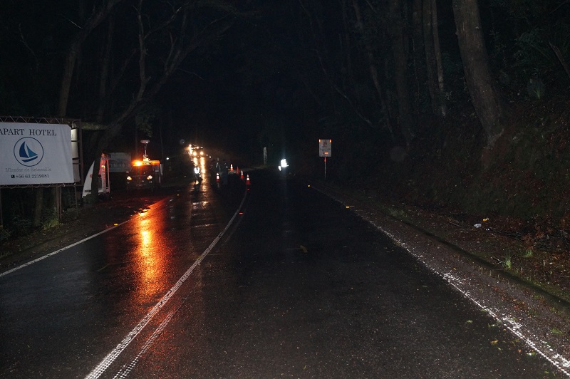 SIAT de Carabineros investiga muerte de conductor en ruta costera de Valdivia