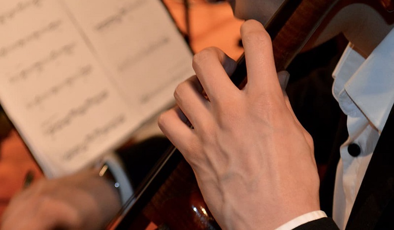 Dieron a conocer resultados de los Fondos Cultura 2020: Los Ríos es la tercera región con mayor cantidad de proyectos seleccionados
