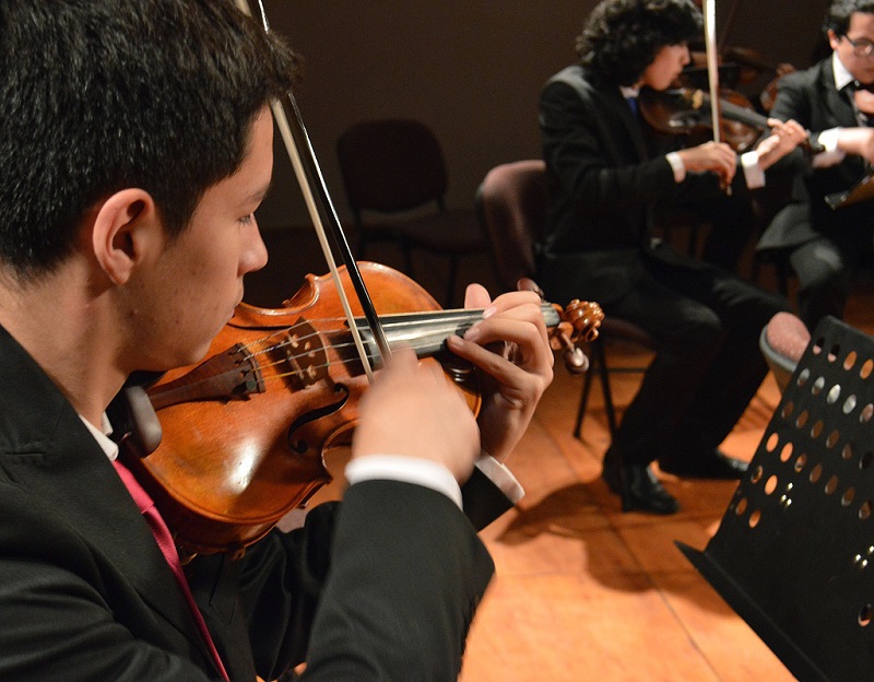 Conservatorio de Música UACh realizará Encuentro Internacional de Música de Cámara
