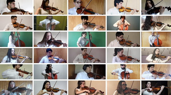 Orquesta Sinfónica Juvenil regional estrenará pieza musical relacionada con la flora y fauna de Los Ríos