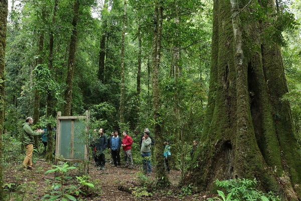 Humedales de Angachilla y Llancahue de Valdivia fueron aprobados como Santuarios de la Naturaleza