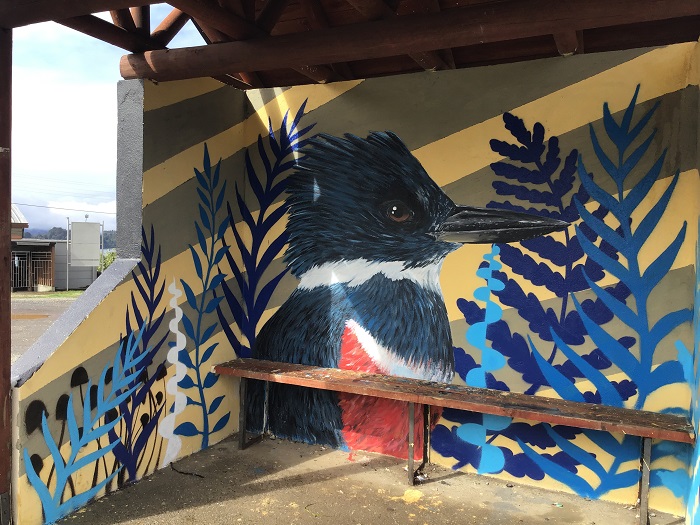 Paraderos de la costa valdiviana presentan nueva imagen gracias a intervenciones artísticas