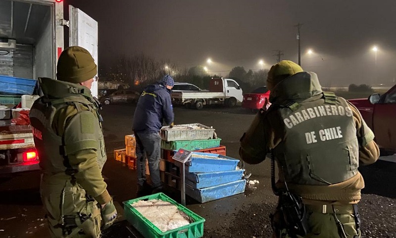Donan 864,4 kilos de recursos del mar tras ser incautados en control carretero en Los Ríos