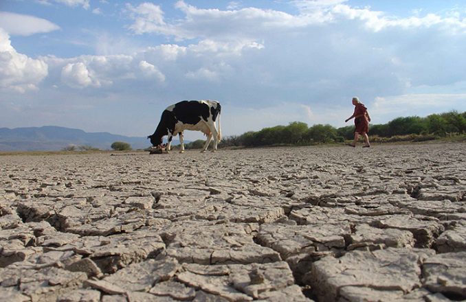 Gobierno confirma Emergencia Agrícola en región de Los Ríos