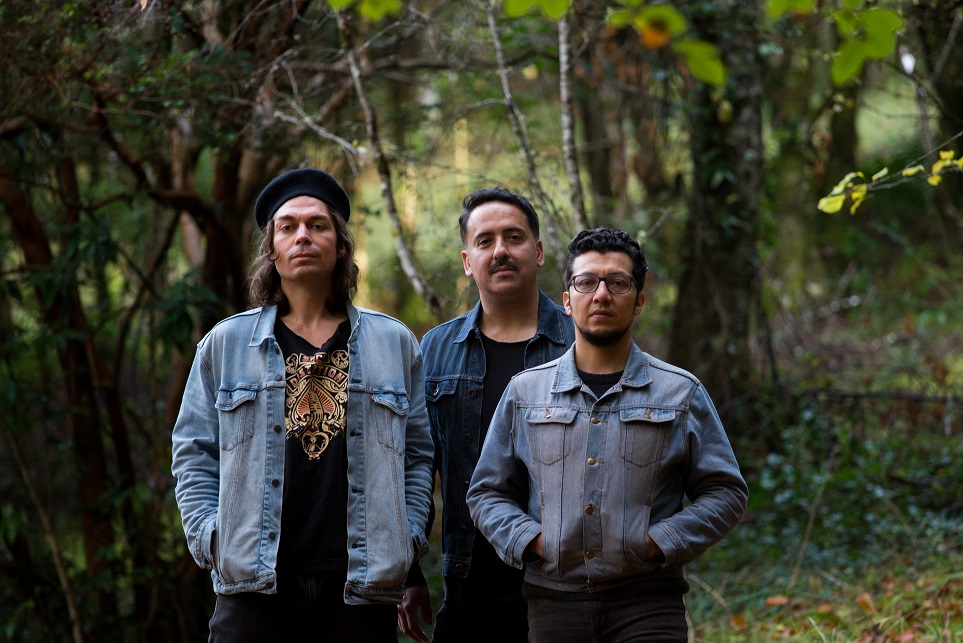 Bongobonzoo: banda valdiviana Peregrino lanza su esperado primer disco larga duración