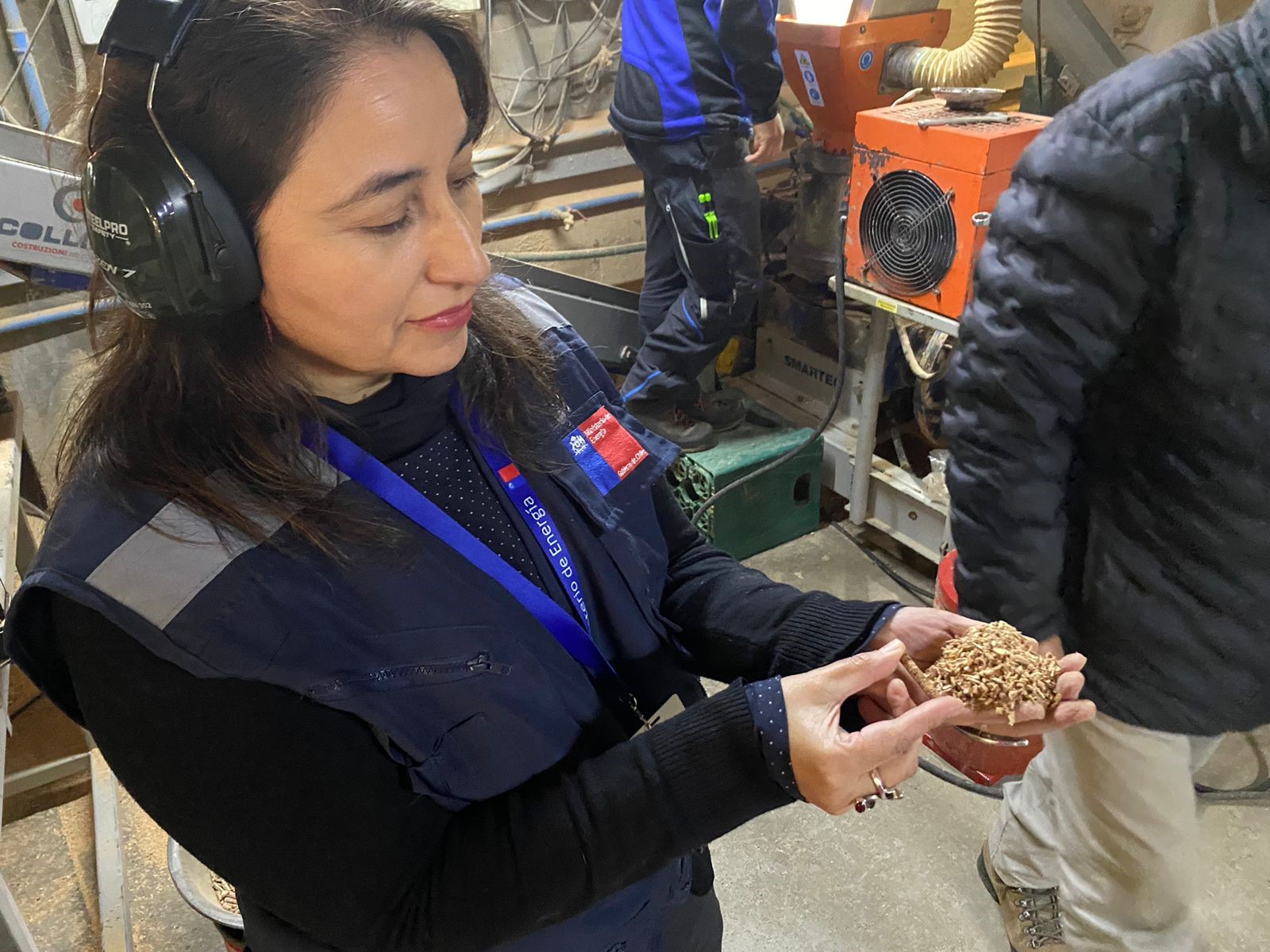 Seremi de Energía Los Ríos descarta quiebre de stock de pellet y destaca alza en producción regional