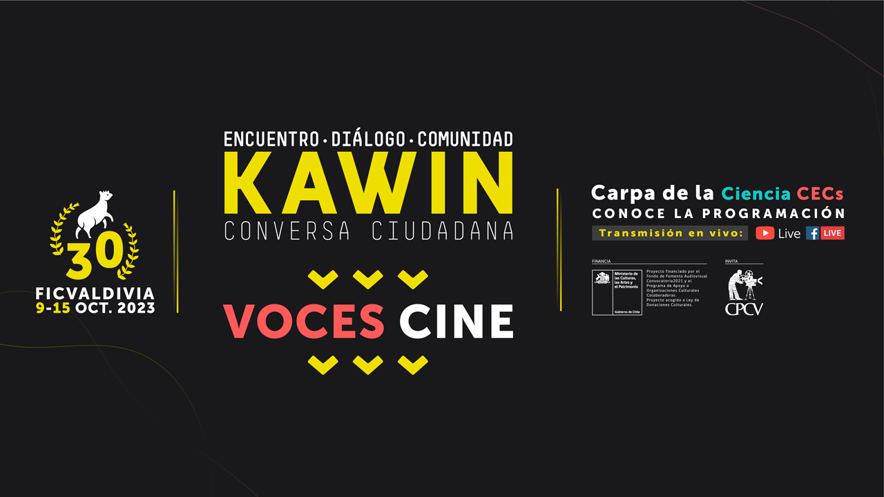 Seis conversatorios sobre cine y temas ciudadanos abordará el 30 FICValdivia