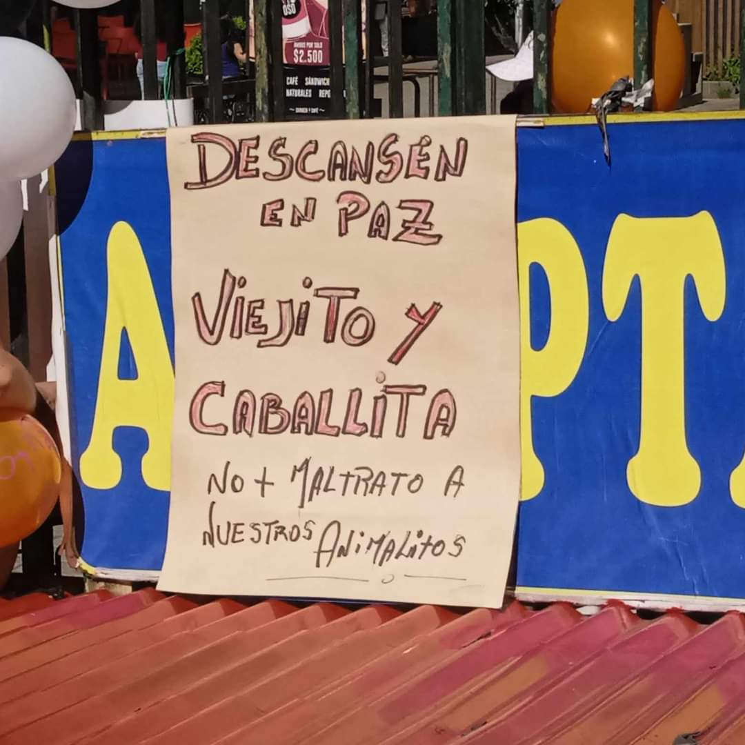 Al pasar de los días: Cámara de Comercio e Industrias de Valdivia sale en defensa del Café Palace