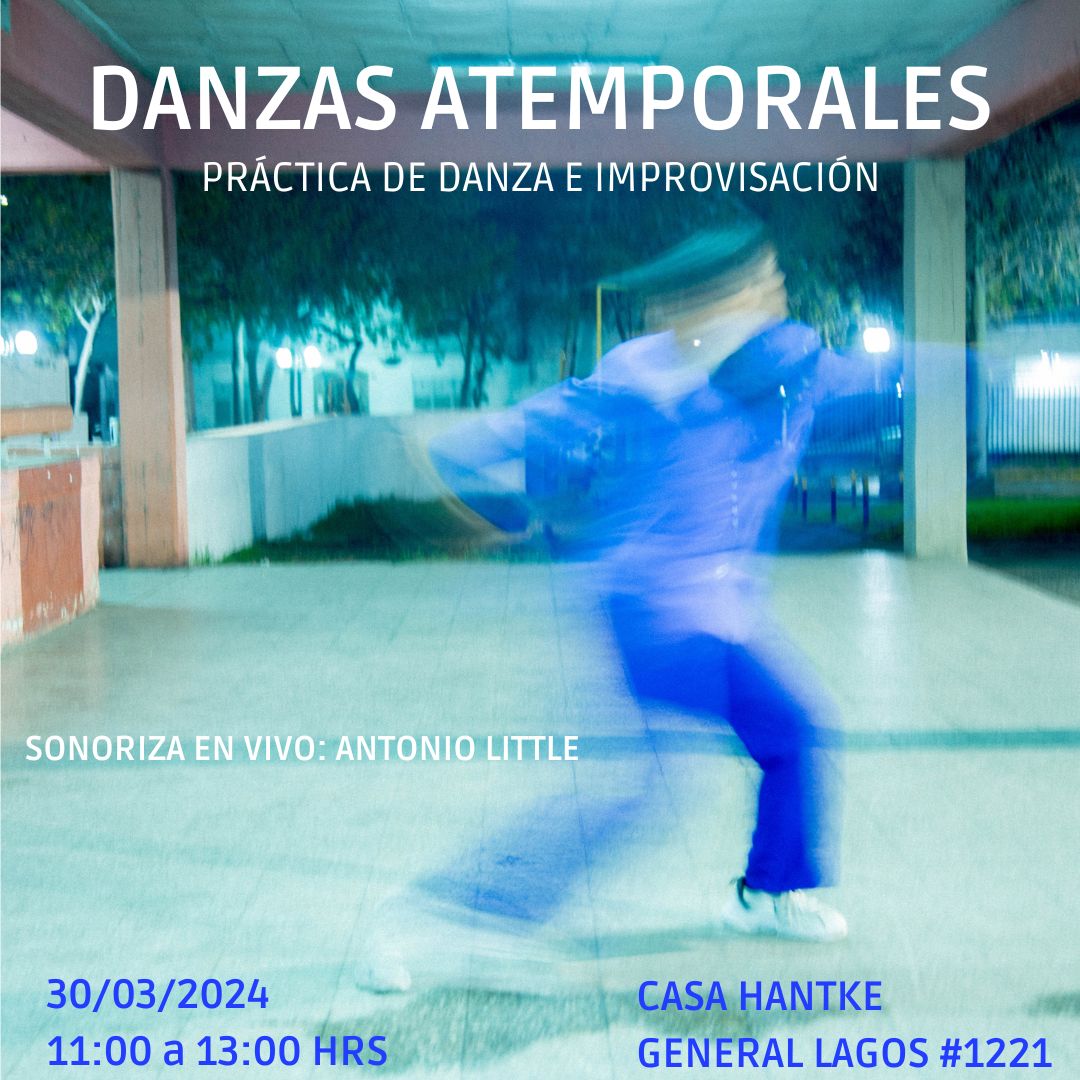 Regresa a Valdivia la práctica corporal “Danzas Atemporales»