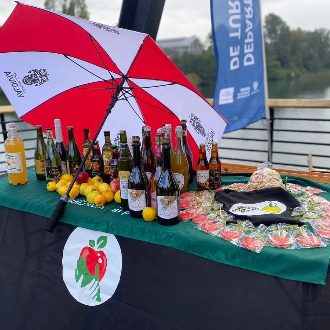 Valdivia se prepara para vivir la primera Fiesta de la Manzana y la Sidra