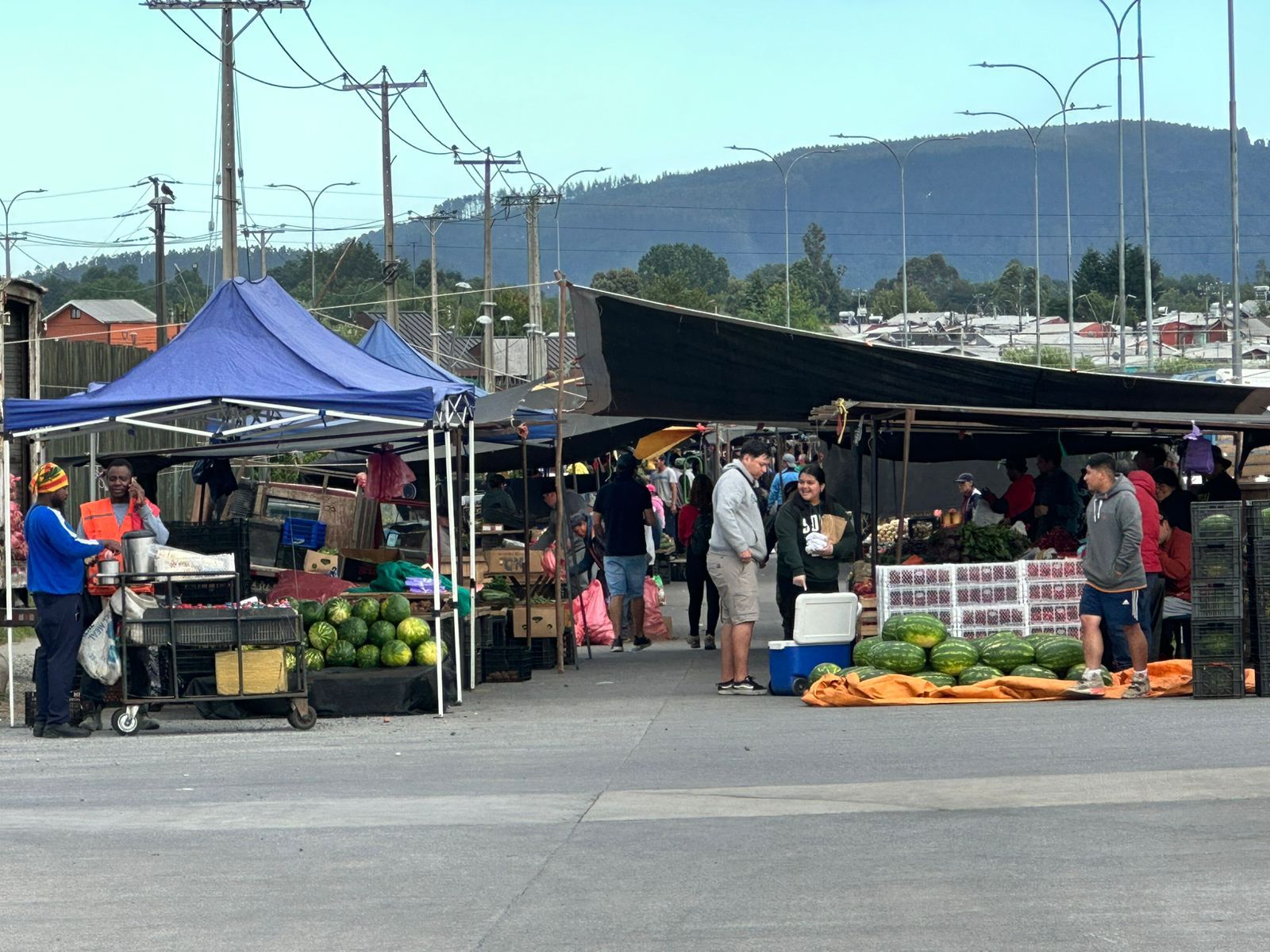 Municipalidad de Valdivia confirma fecha para traslado de Feria Libre de los días miércoles