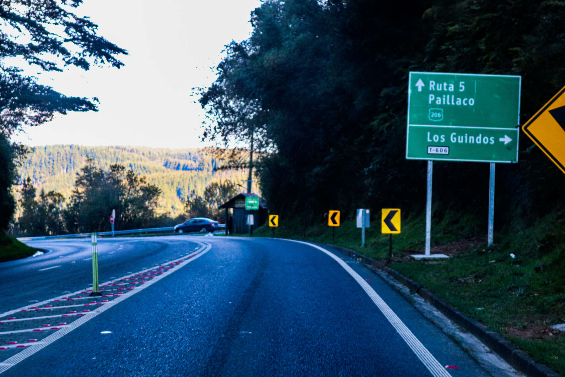 Alcalde Navarrete solicita medidas de prevención de accidentes en ruta Paillaco – Valdivia ante anuncio de heladas