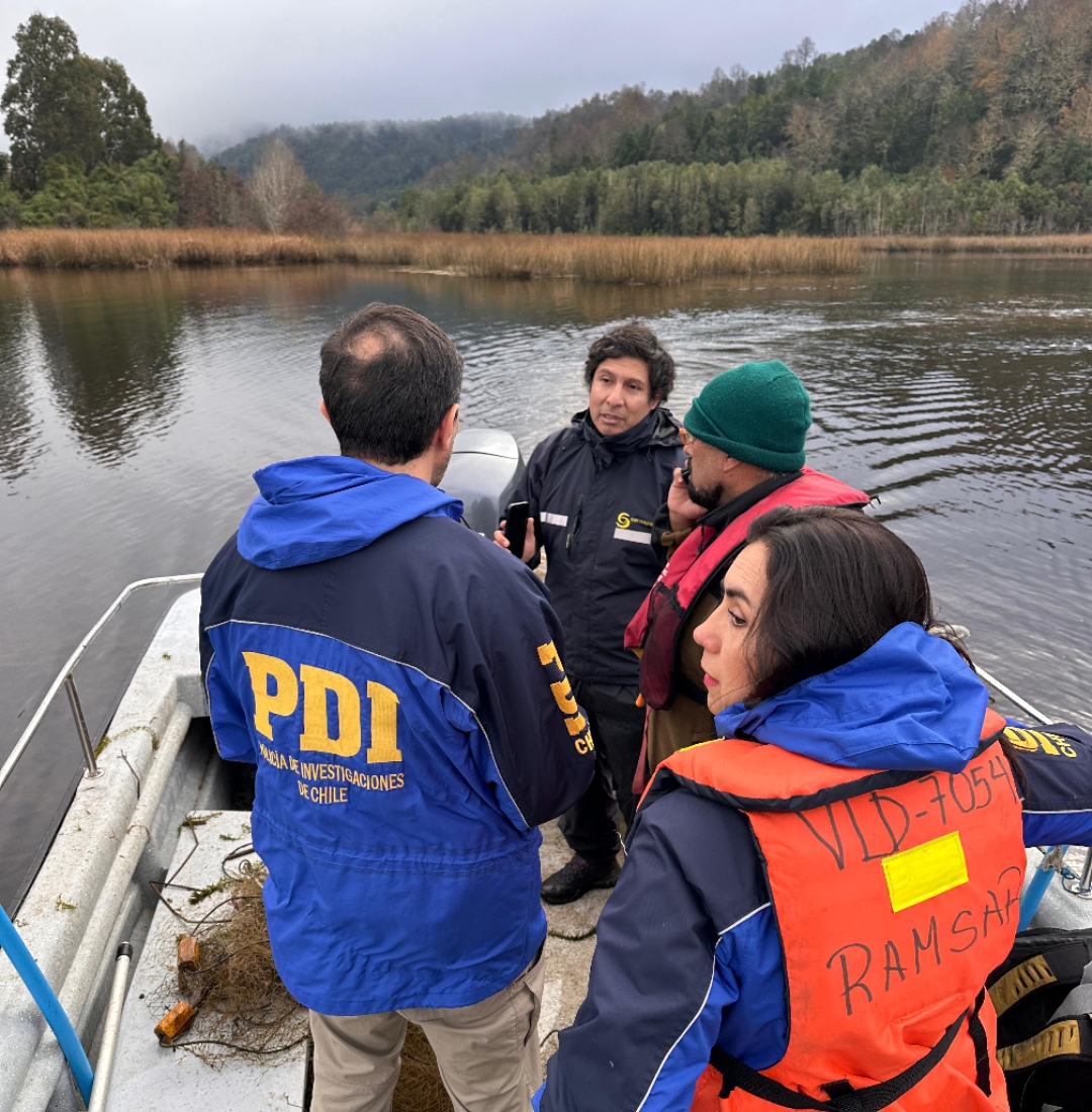 Retiran red de pesca ilegal en el Santuario de la Naturaleza Río Cruces y Chorocamayo gracias a operativo liderado por CONAF