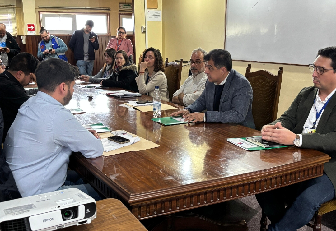 Comisión Ambiental de Los Ríos aprobó proyecto Parque Eólico Ovejera Sur con inversión de USD $280 millones en el territorio