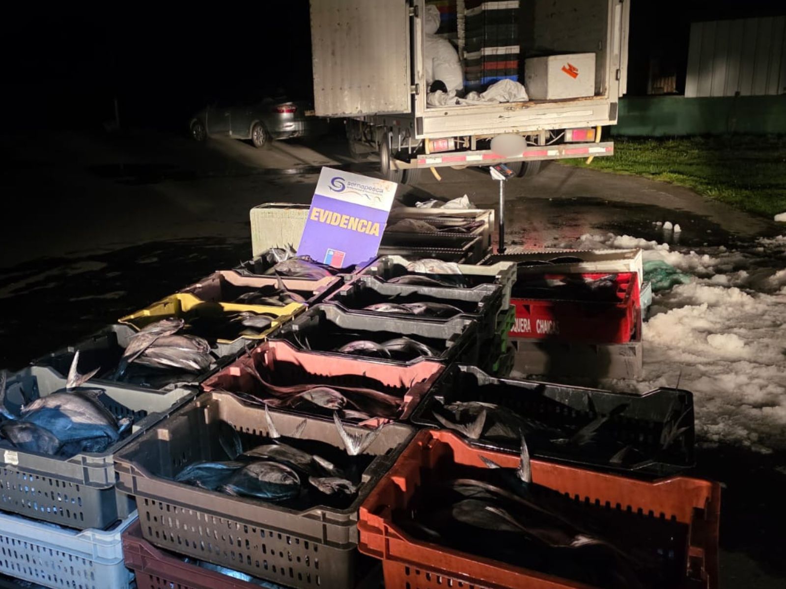 Más de una tonelada de recursos del mar incautados y un detenido dejó control carretero en la ruta 5