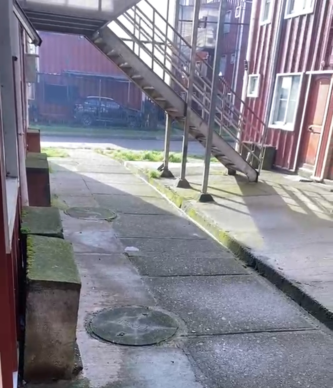 Vecinos de Población San Pedro denuncian grave plaga de ratones y abandono municipal, Serviu y organismos de salud